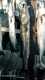 Jeremy"s Barracuda and King Mackerel