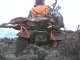 Pat Jones bring out one of our Mule deer