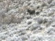 Some of the wildlife that we saw while on our hunt