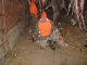 Good days hunt  in 2008