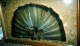 Jerod Jeffery"s Turkey Tail, Beard, Spurs, & Broadhead
