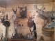 antelope display