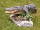 Half mount 10ft. Alligator