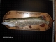 Earl Mincks reproduction Northern Pike