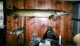 alligator garr 7 ft long