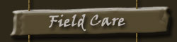 Field Care