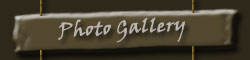 Photo Gallery